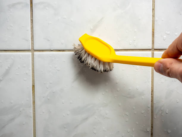 Best Residential Mold Remediation in South Run, VA