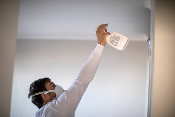 Best Basement Mold Remediation in South Run, VA