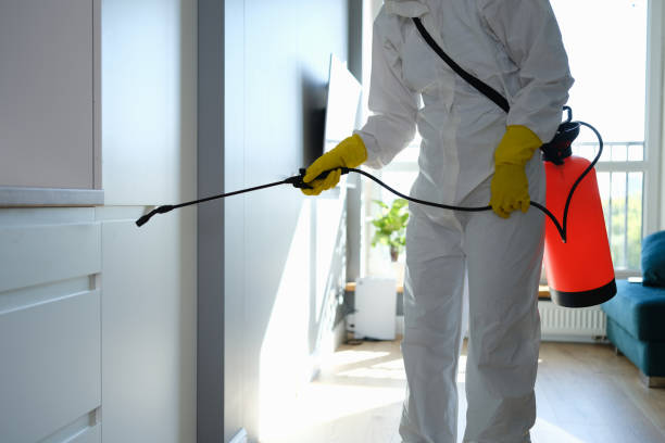 Best HVAC Mold Remediation in South Run, VA